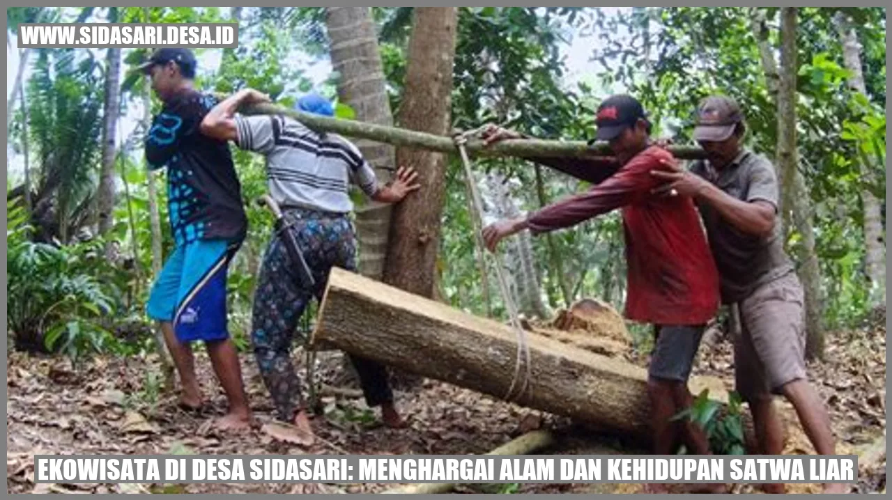 Ekowisata di Desa Sidasari