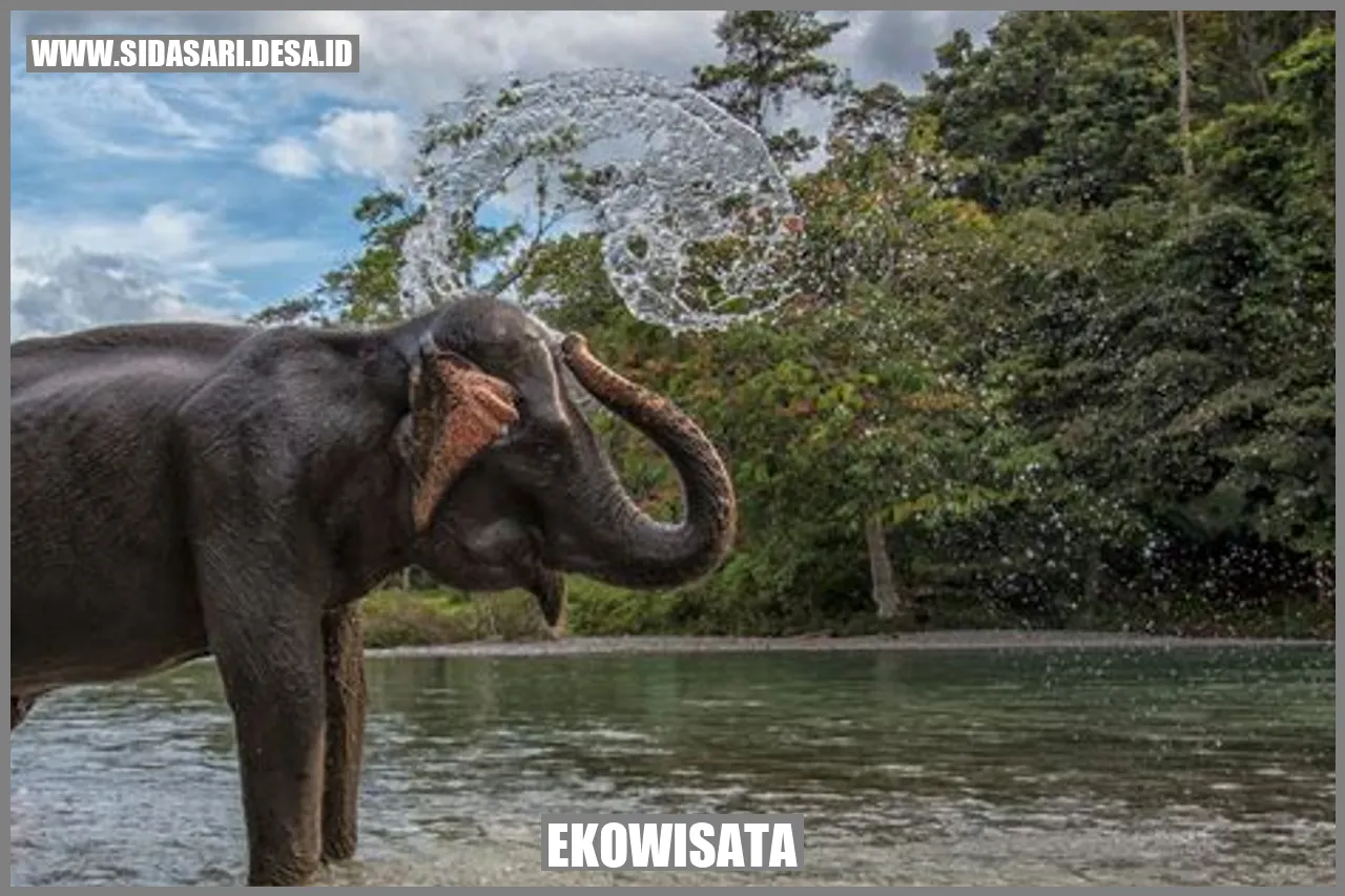 Ekowisata