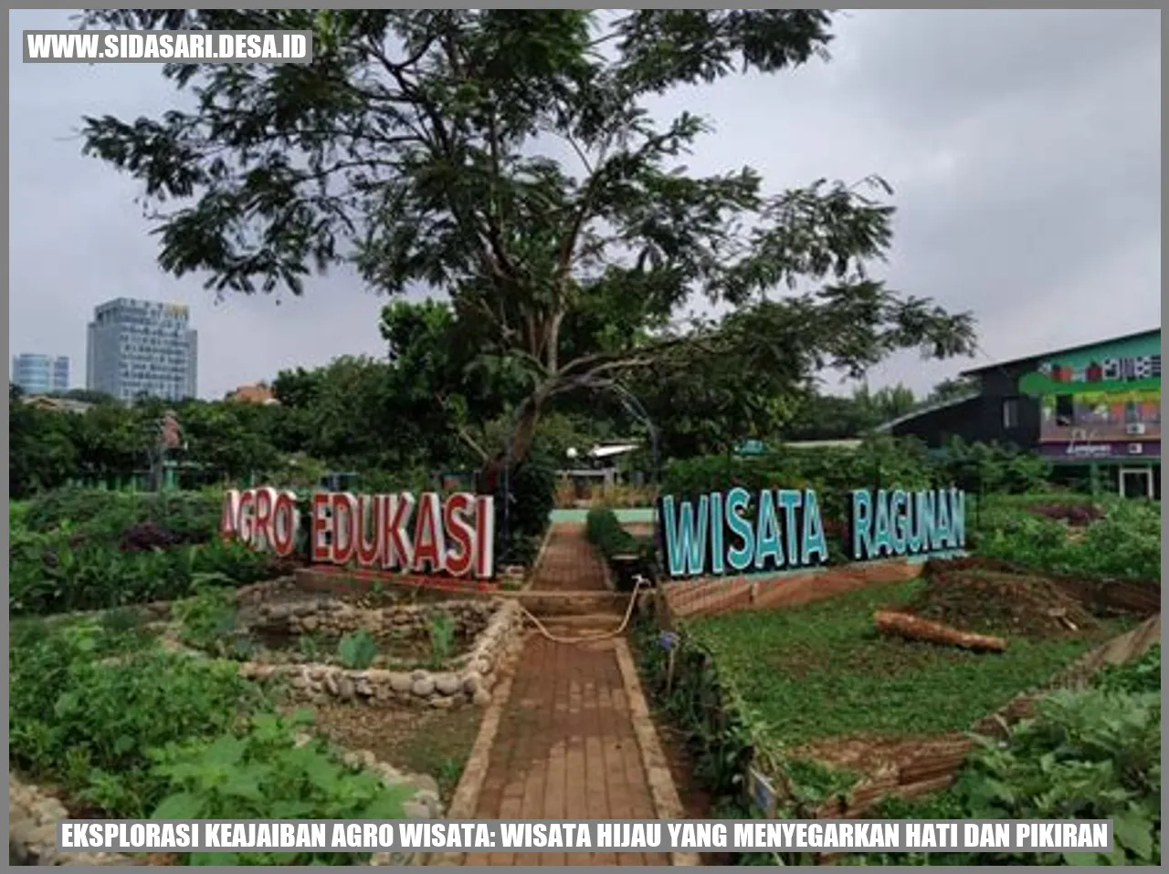 Eksplorasi Keajaiban Agro Wisata: Wisata Hijau yang Menyegarkan Hati dan Pikiran