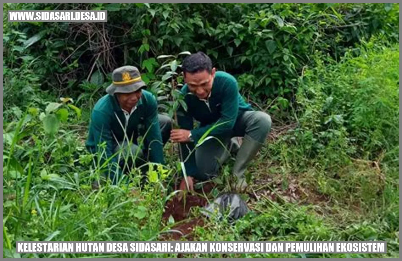 Kelestarian Hutan Desa sidasari: Ajakan Konservasi dan Pemulihan Ekosistem