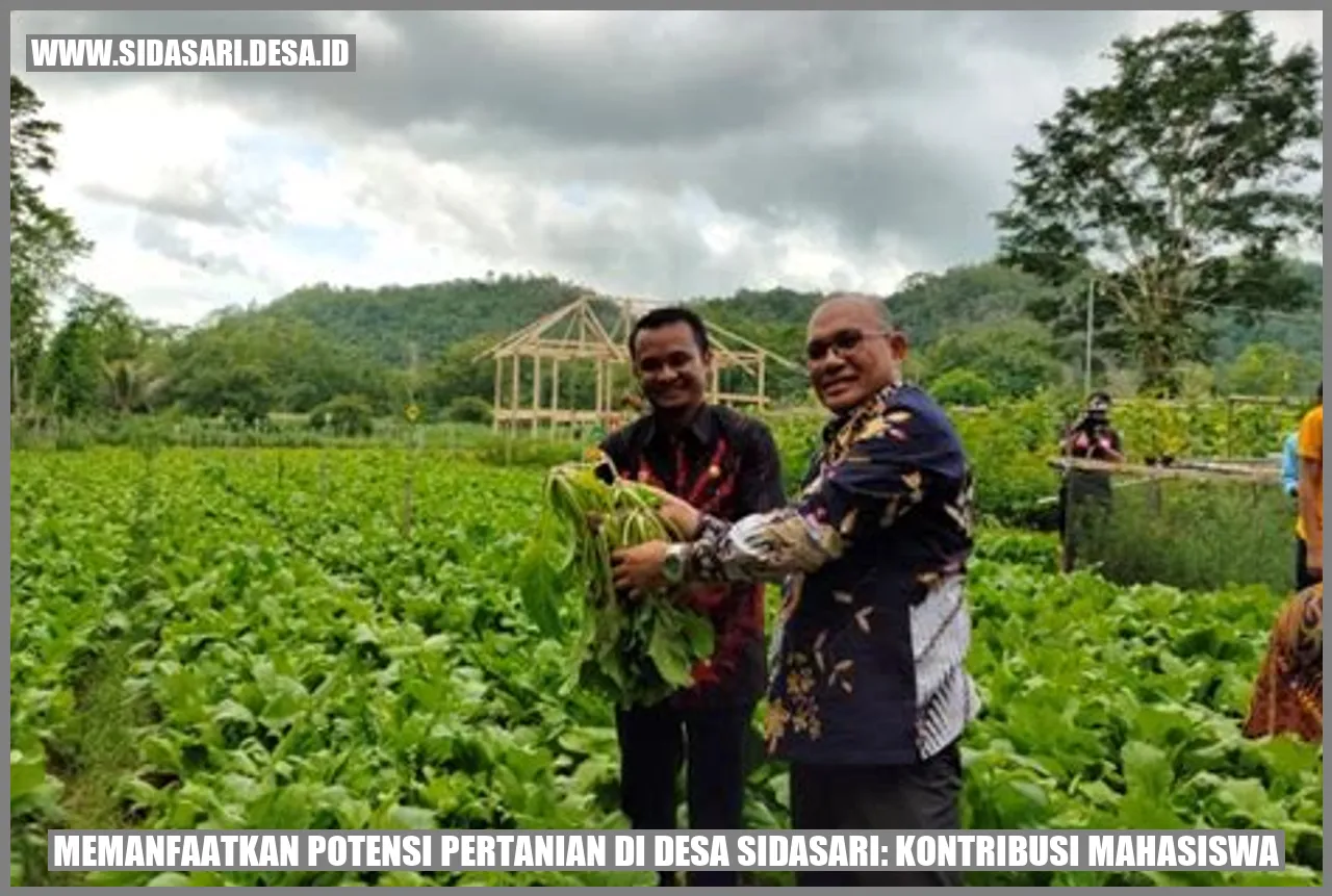 Pertanian di Desa Sidasari