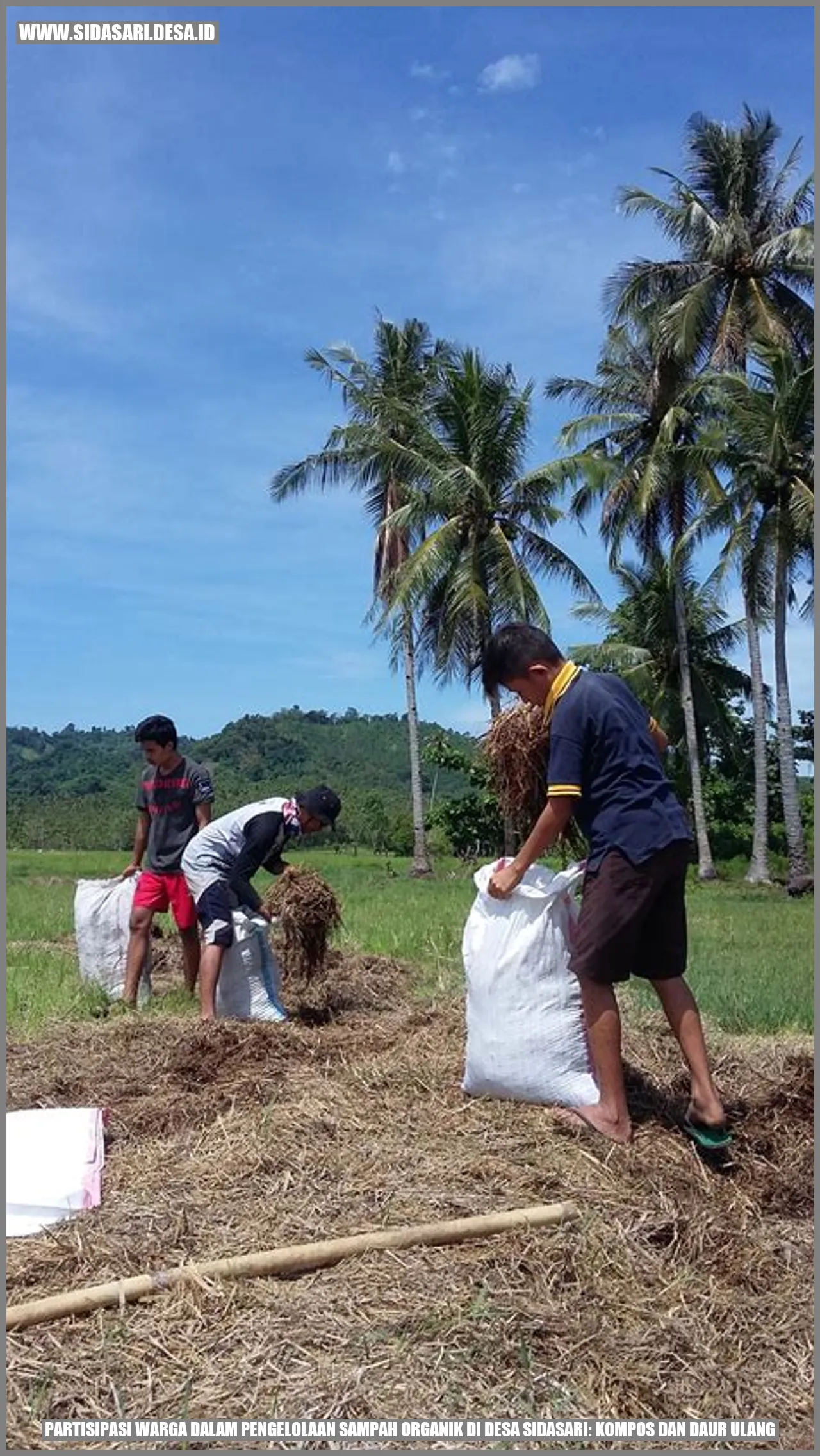 Gambar Sampah Organik