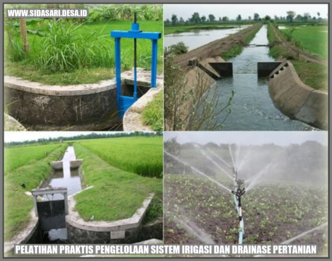 Pelatihan Praktis Pengelolaan Sistem Irigasi dan Drainase Pertanian