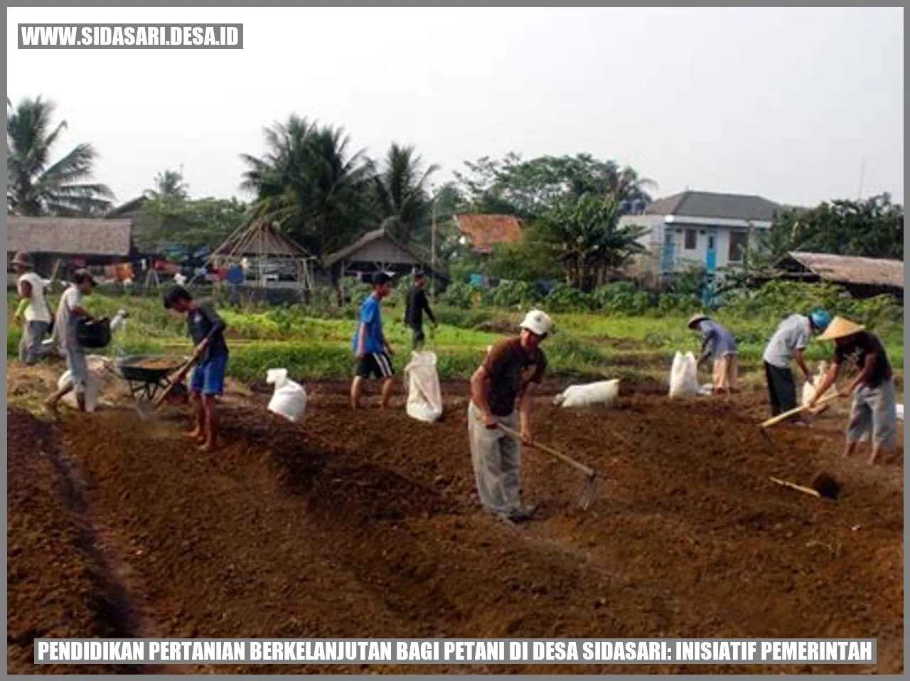 Pendidikan Pertanian Berkelanjutan bagi Petani di Desa sidasari: Inisiatif Pemerintah