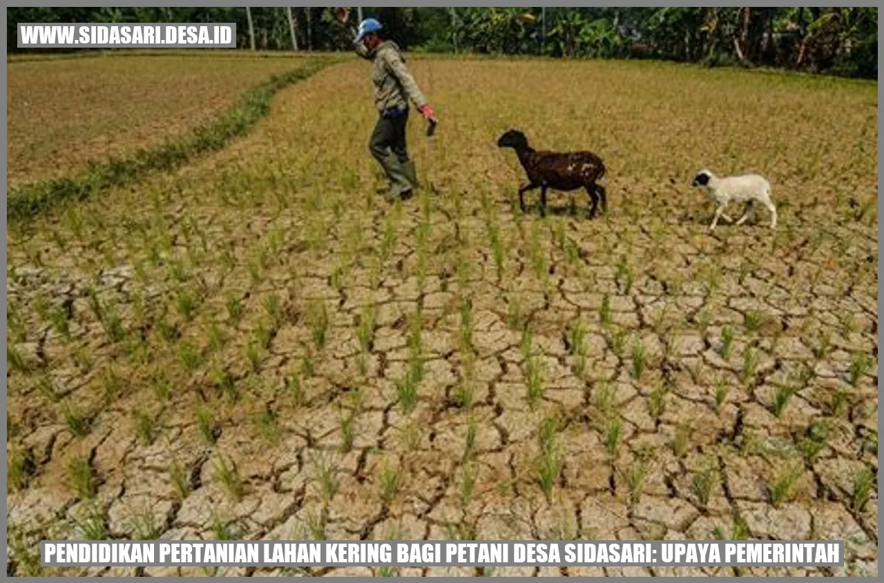 Pendidikan Pertanian Lahan Kering bagi Petani Desa Sidasari: Upaya Pemerintah