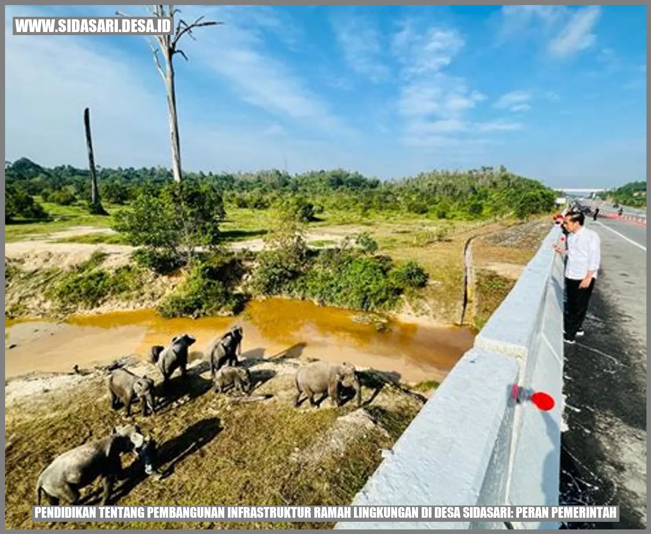 Pendidikan tentang Pembangunan Infrastruktur Ramah Lingkungan di Desa Sidasari: Peran Pemerintah