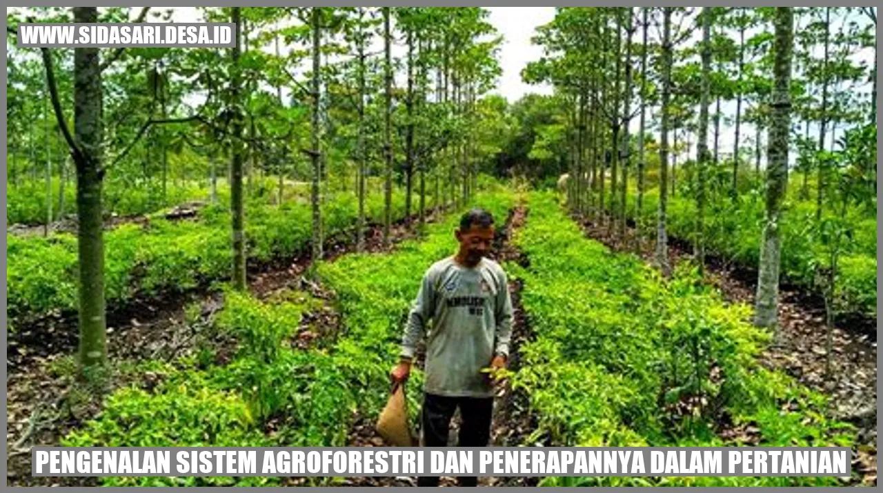 Sistem Agroforestri