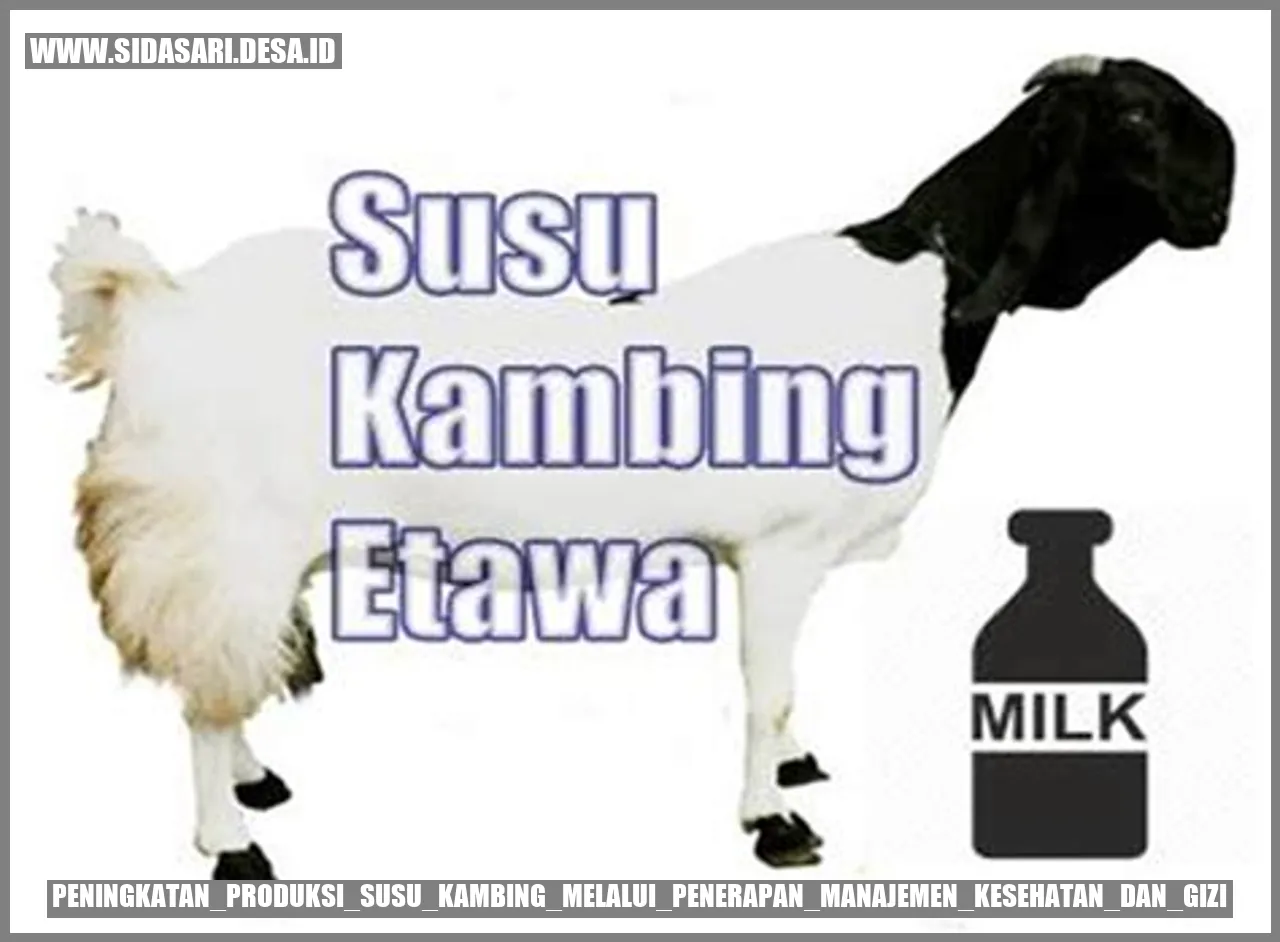 Manajemen Kesehatan dan Gizi pada Kambing