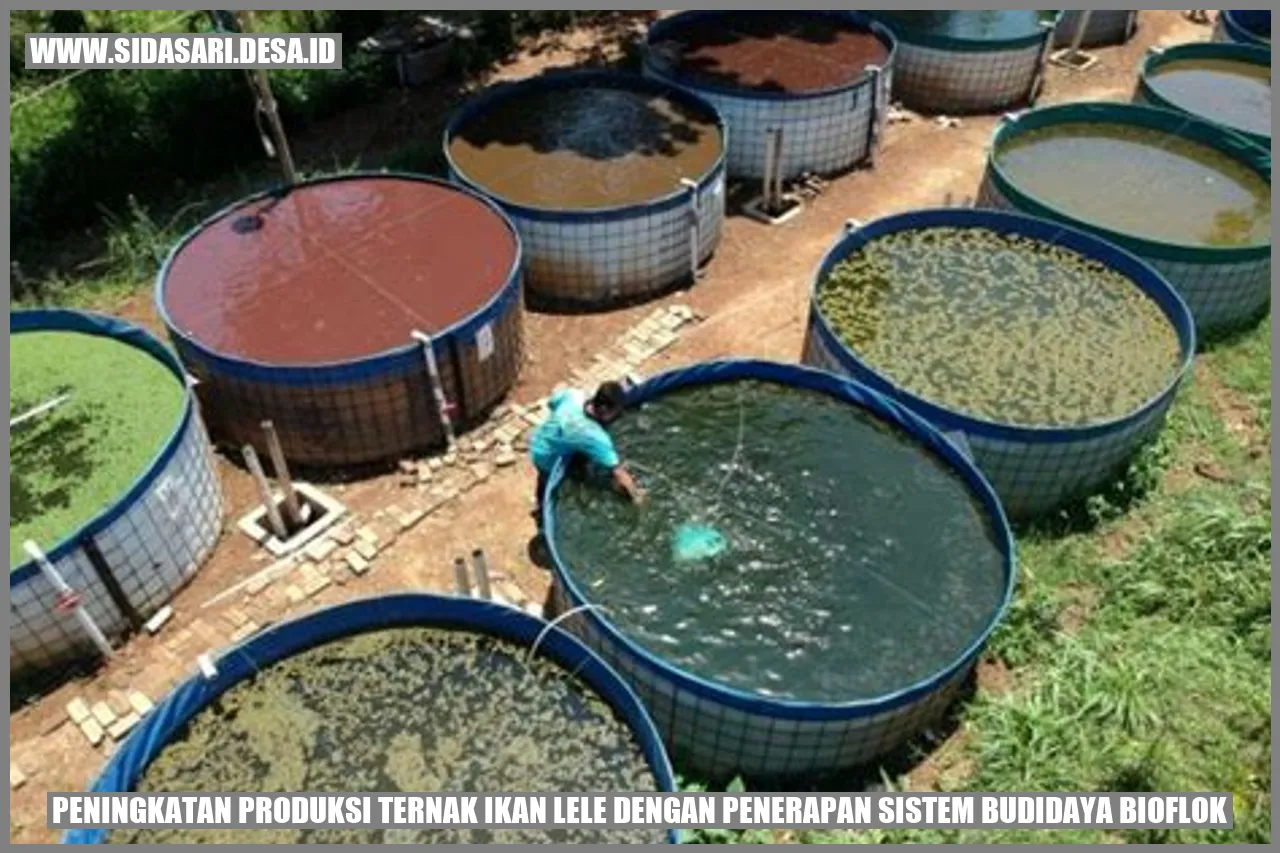 Peningkatan Produksi Ternak Ikan Lele dengan Penerapan Sistem Budidaya Bioflok