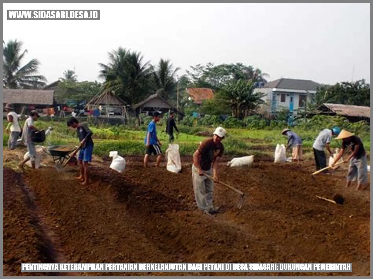 Pentingnya Keterampilan Pertanian Berkelanjutan bagi Petani di Desa Sidasari