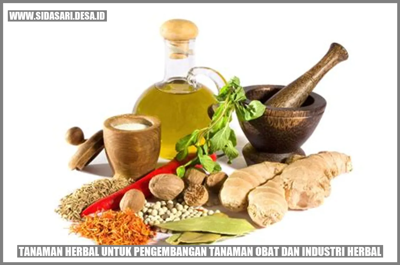 Tanaman Herbal untuk Pengembangan Tanaman Obat dan Industri Herbal