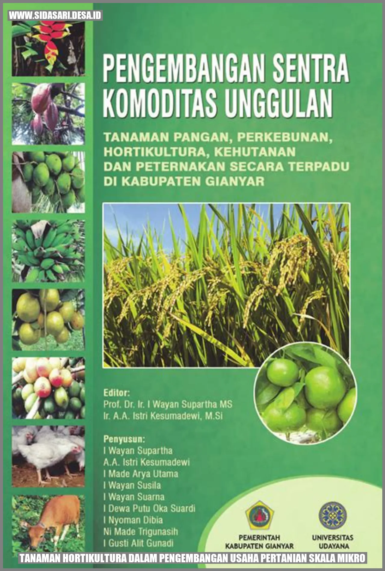 Tanaman Hortikultura dalam Pengembangan Usaha Pertanian Skala Mikro