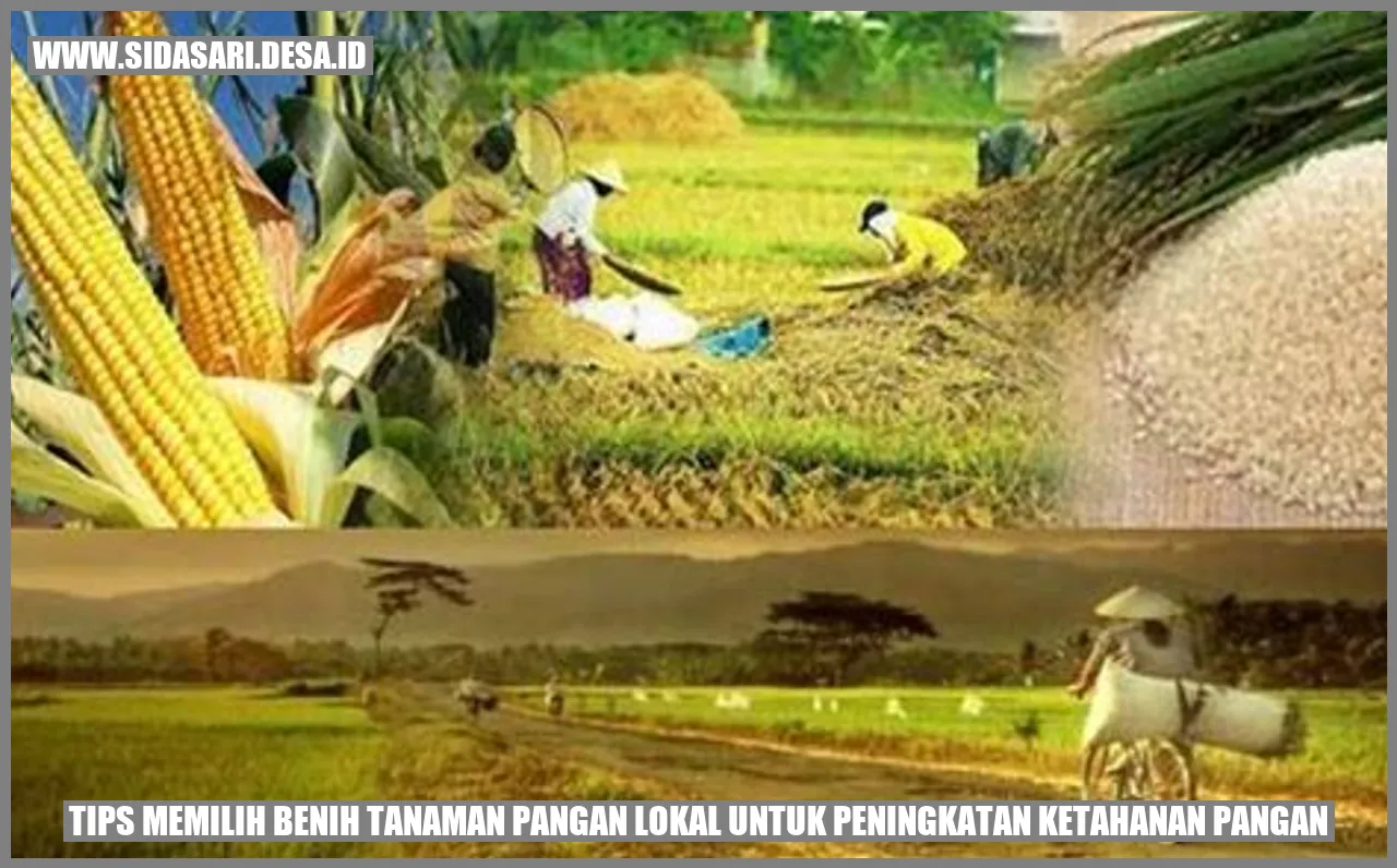 Tips Memilih Benih Tanaman Pangan Lokal untuk Peningkatan Ketahanan Pangan